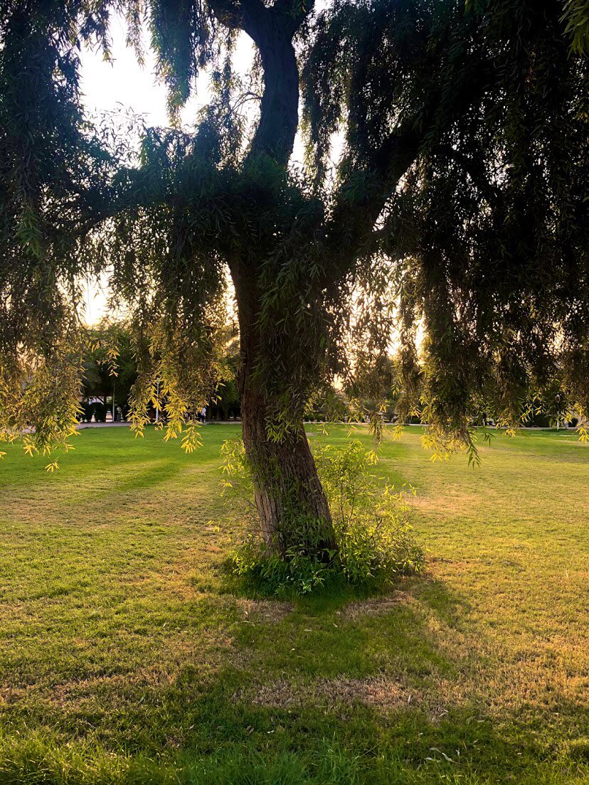 حديقة وهران الشامية للتسلية بالكويت 